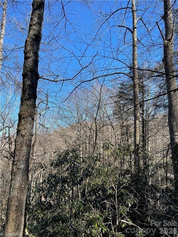 Lot at Lot E-15 Laurel Ridge Road, Banner Elk, photo 4 of 8