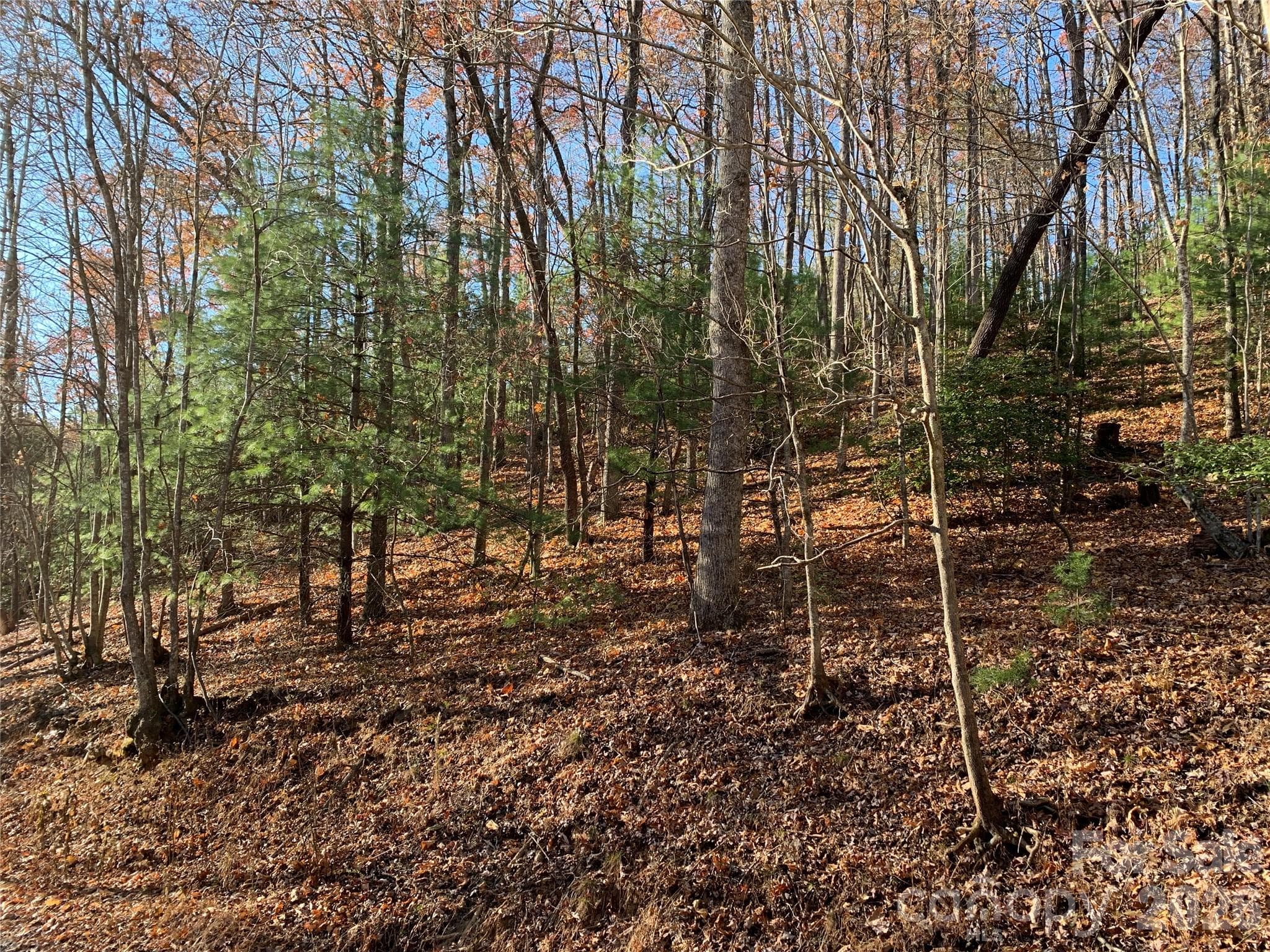 Gently Sloping Lot - Lenoir