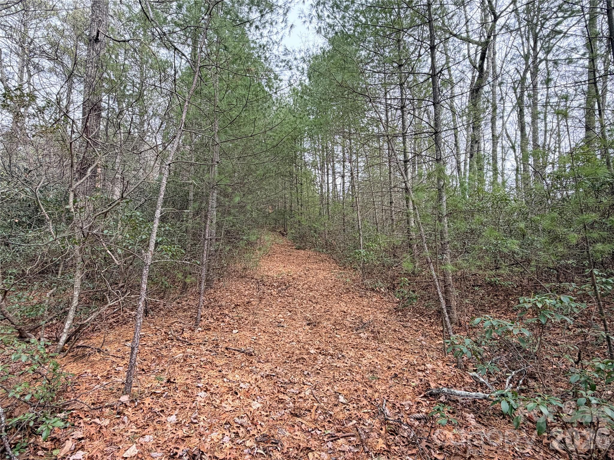 ROW to Top of Lot - Lenoir