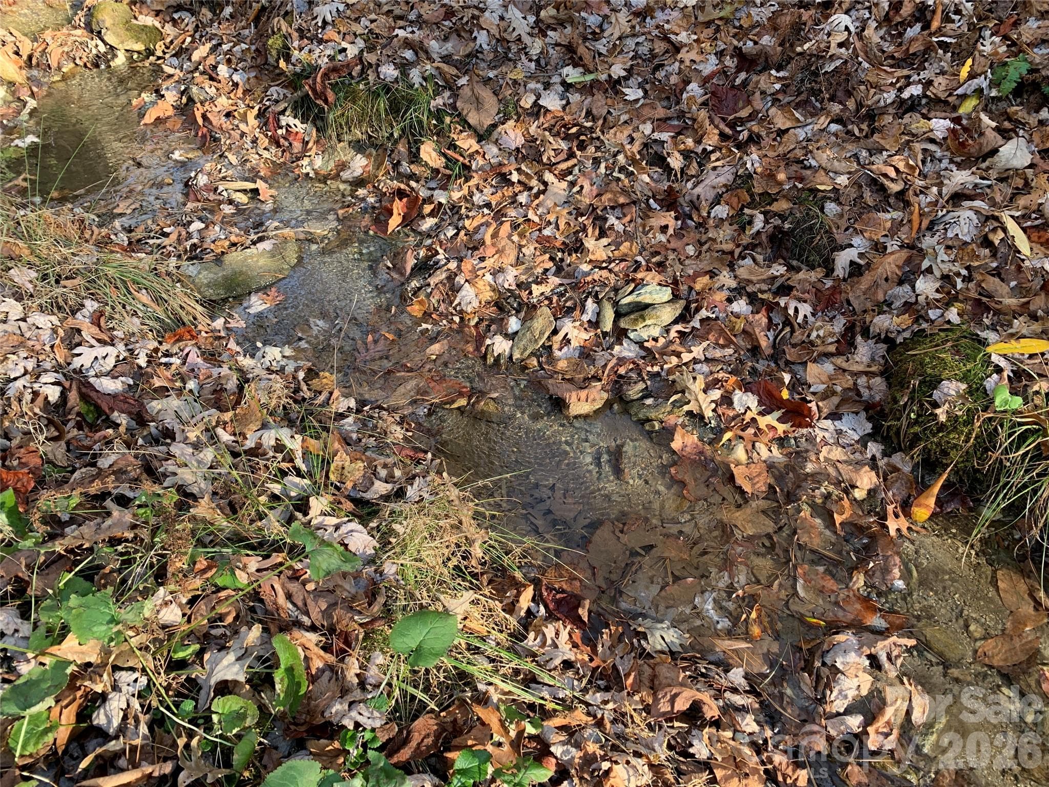 Small Creek at Bottom - Lenoir