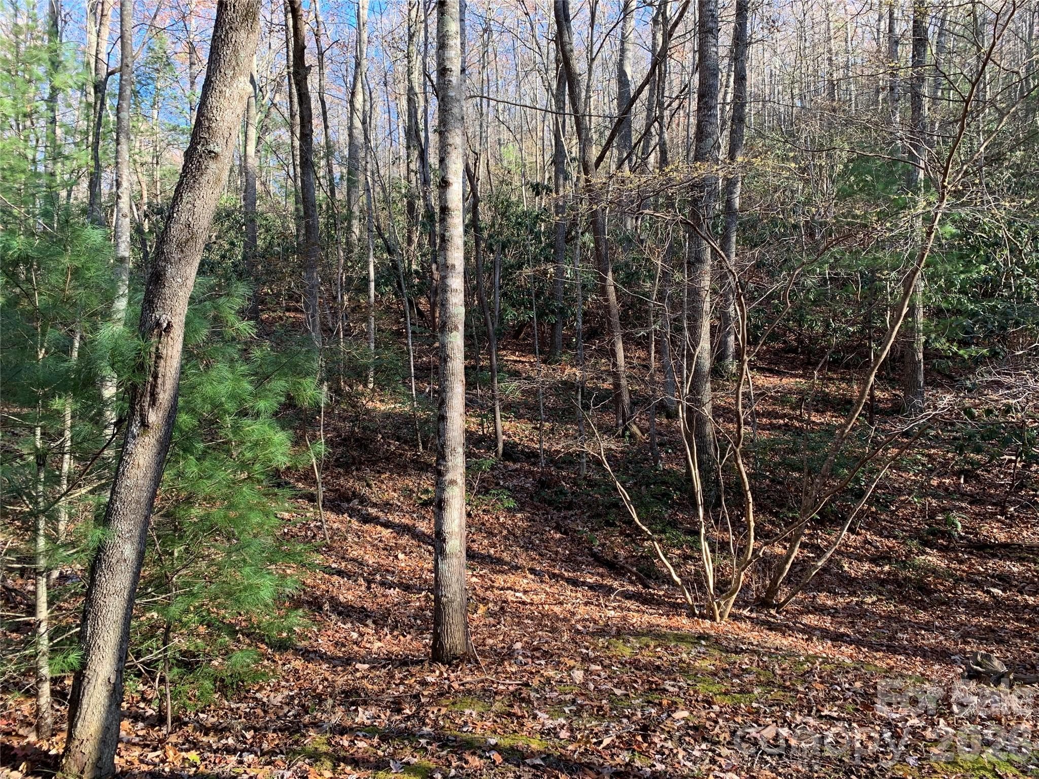 Lot at Lenoir, photo 9 of 15