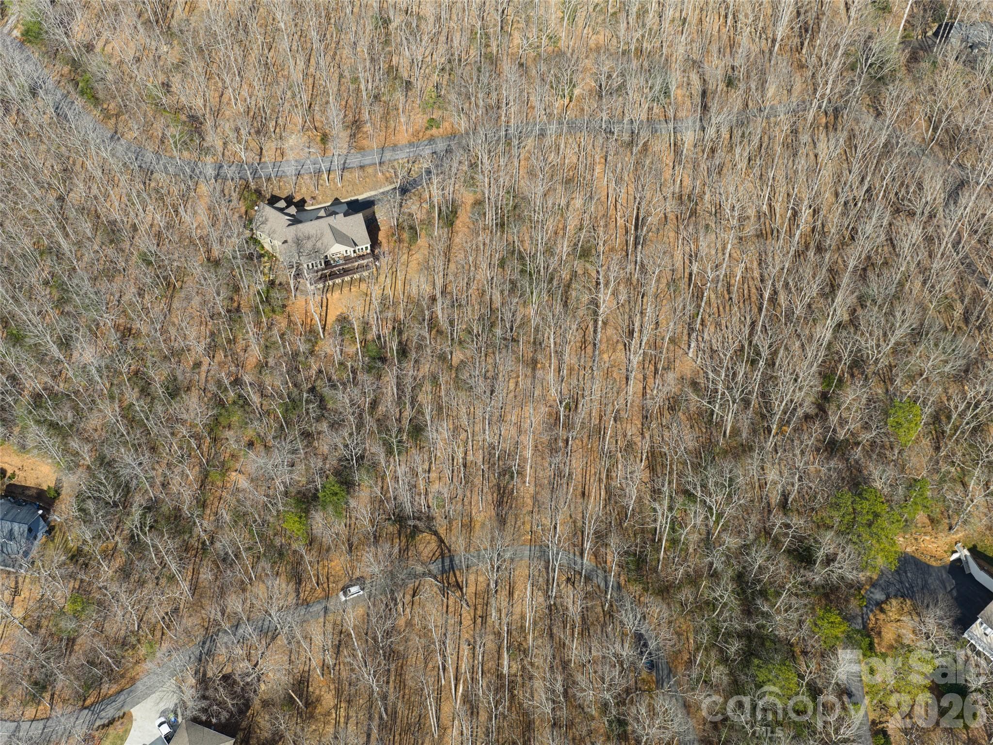Lot at 40 Cedar Drive, Mills River, photo 9 of 20