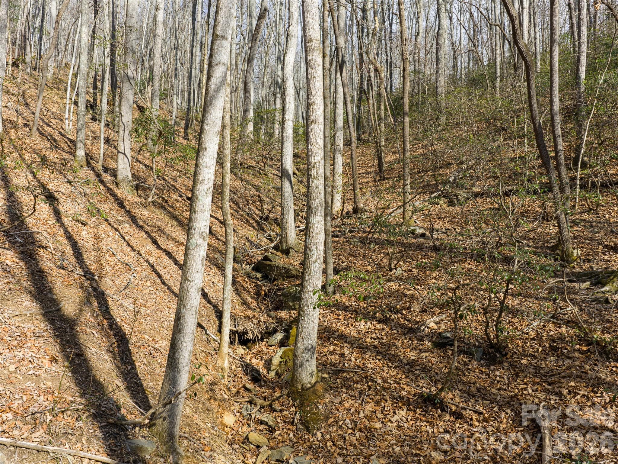 Lot at 40 Cedar Drive, Mills River, photo 11 of 20