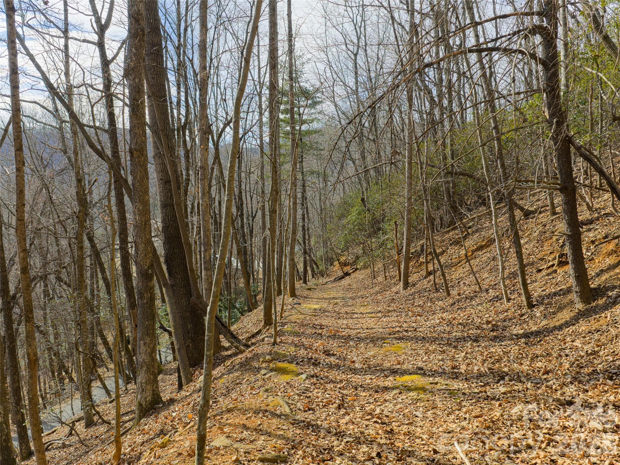 Lot at 40 Cedar Drive, Mills River, photo 12 of 20