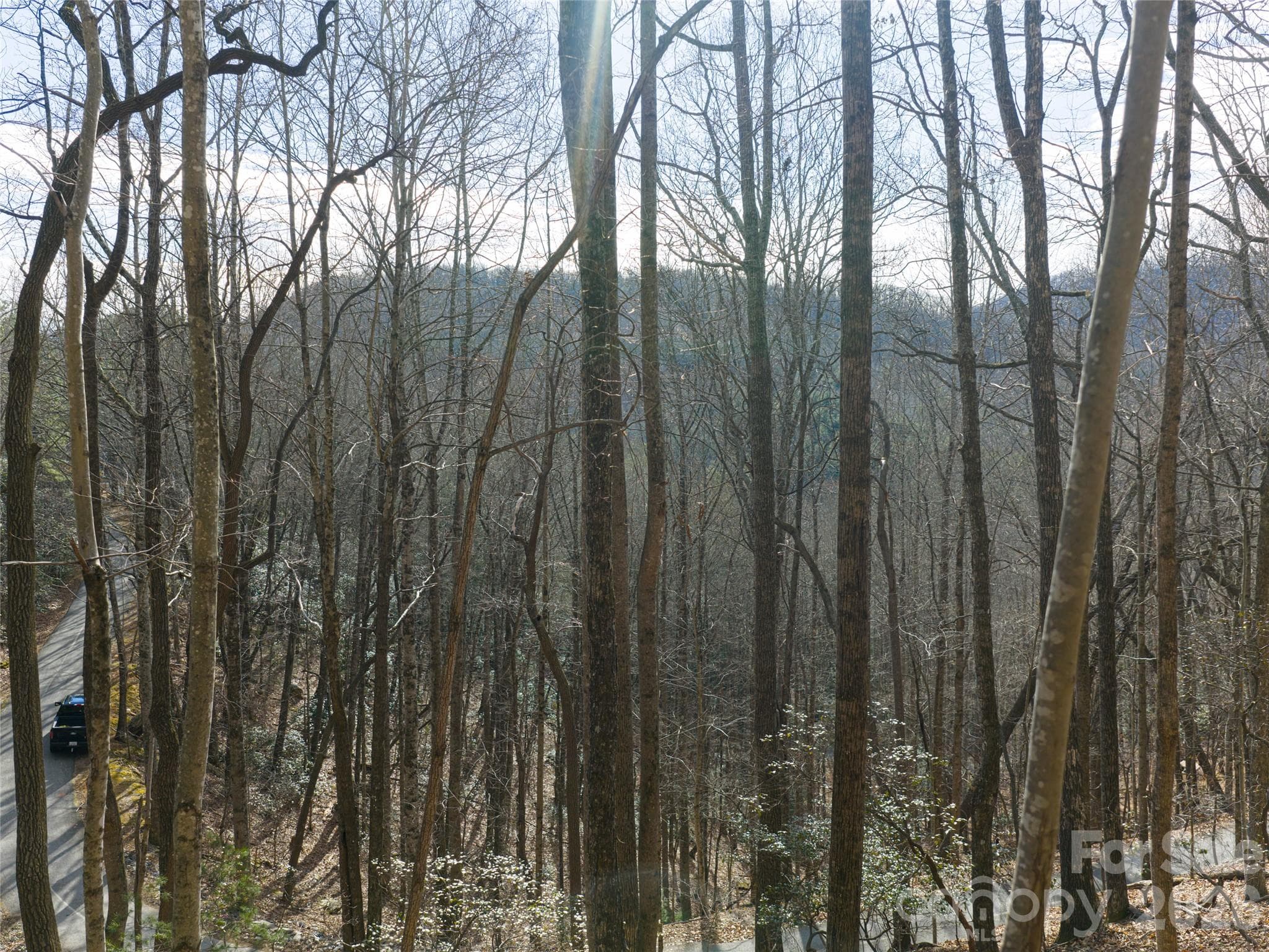 Lot at 40 Cedar Drive, Mills River, photo 13 of 20