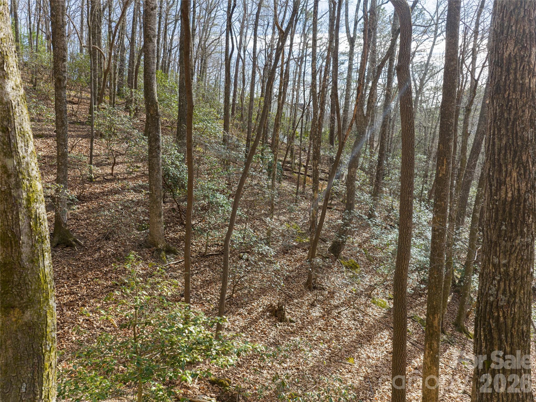 Lot at 40 Cedar Drive, Mills River, photo 14 of 20