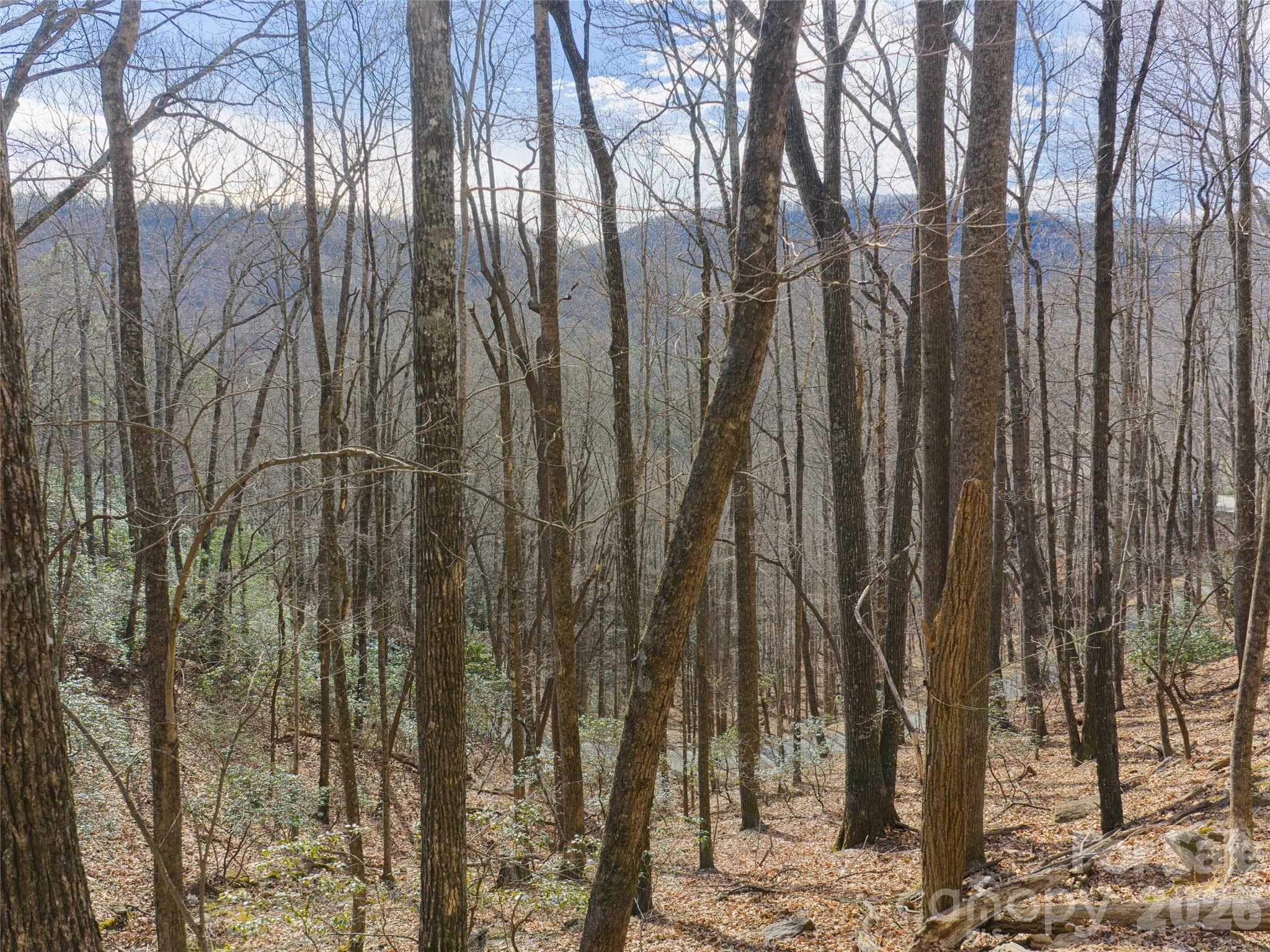 Lot at 40 Cedar Drive, Mills River, photo 15 of 20