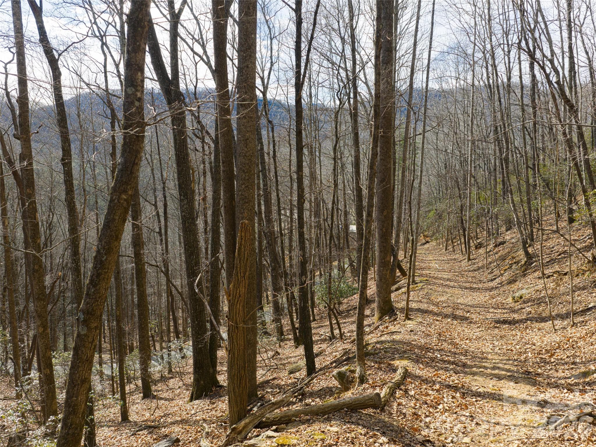 Lot at 40 Cedar Drive, Mills River, photo 16 of 20