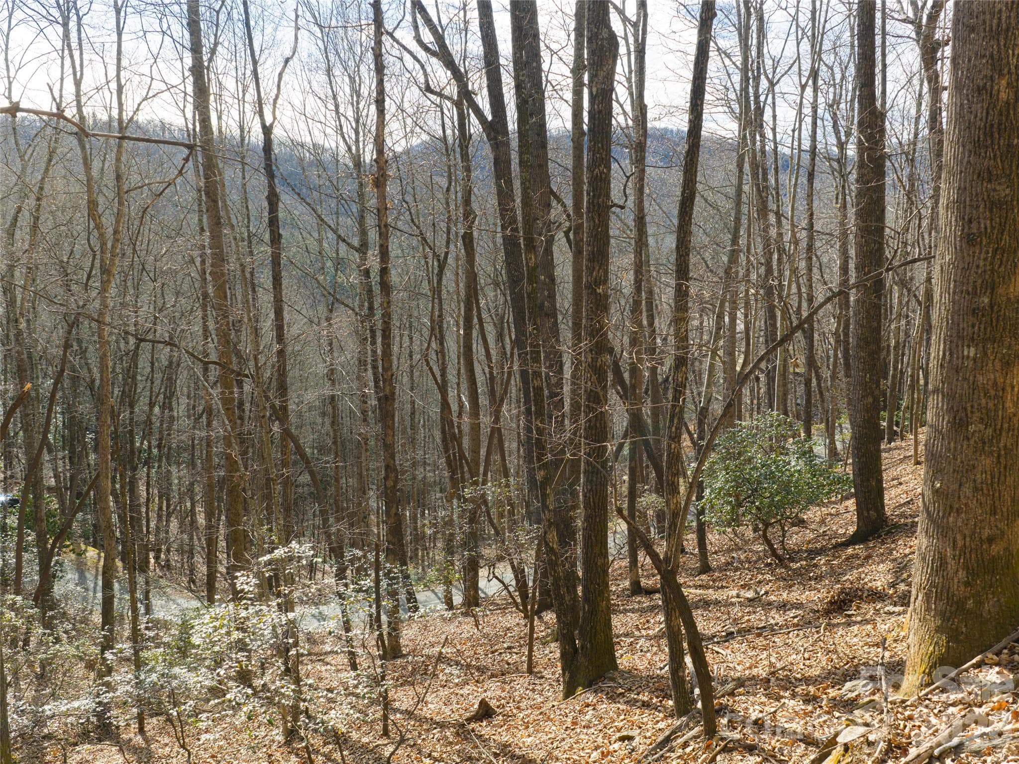 Lot at 40 Cedar Drive, Mills River, photo 17 of 20