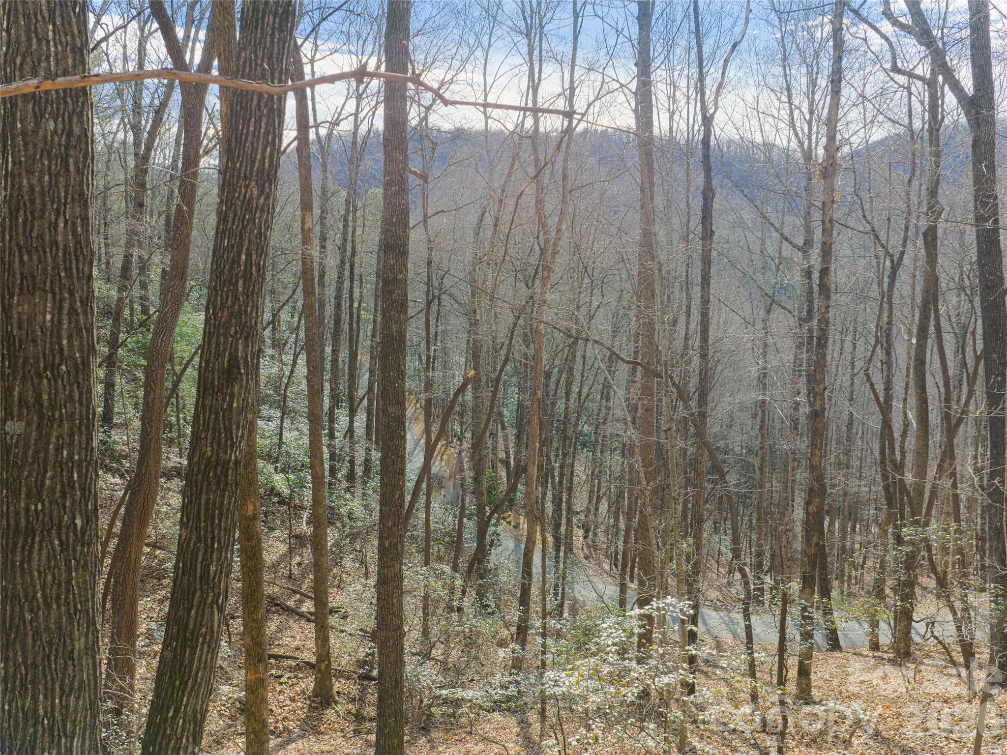 Lot at 40 Cedar Drive, Mills River, photo 18 of 20