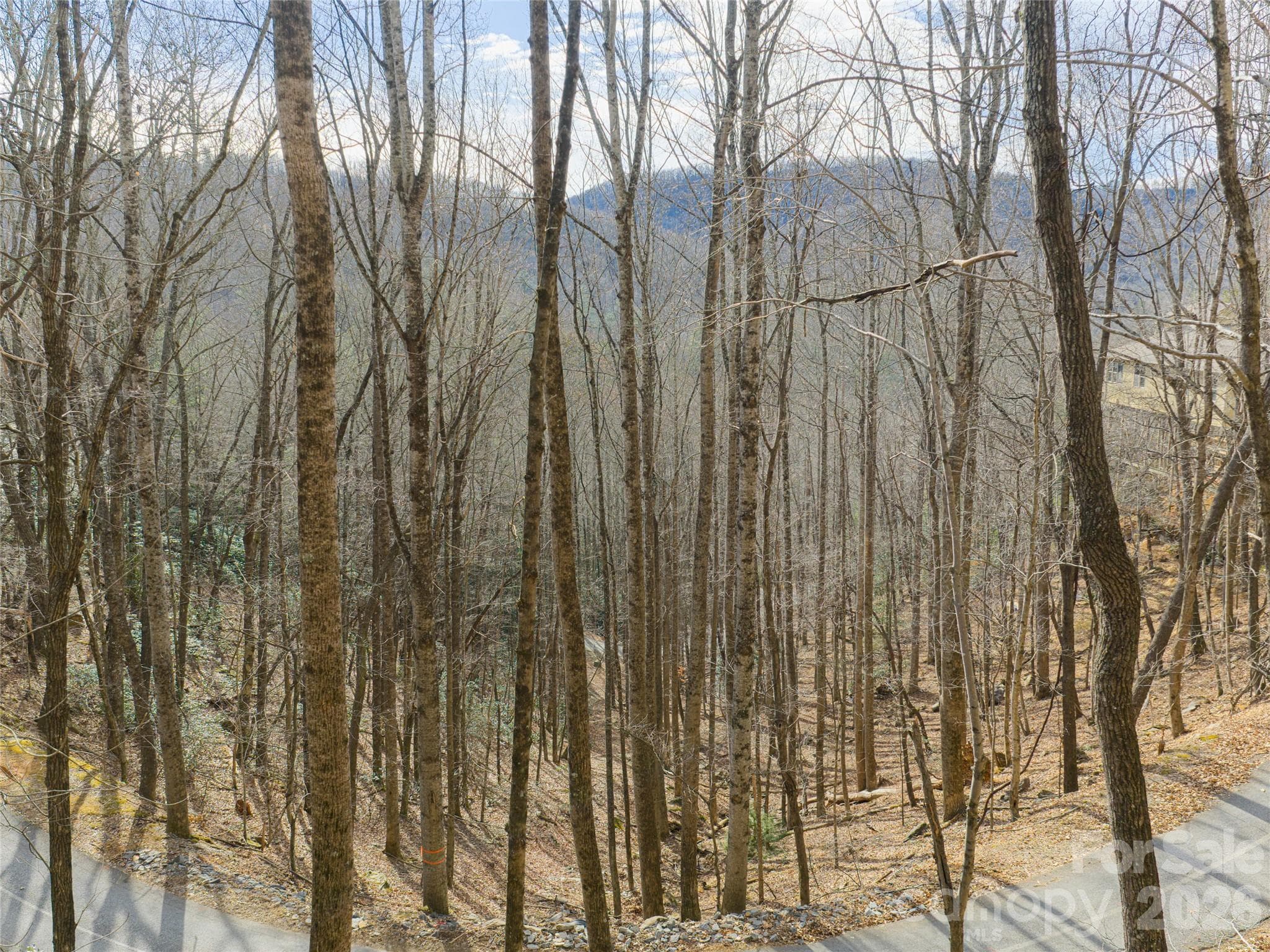 Lot at 40 Cedar Drive, Mills River, photo 19 of 20