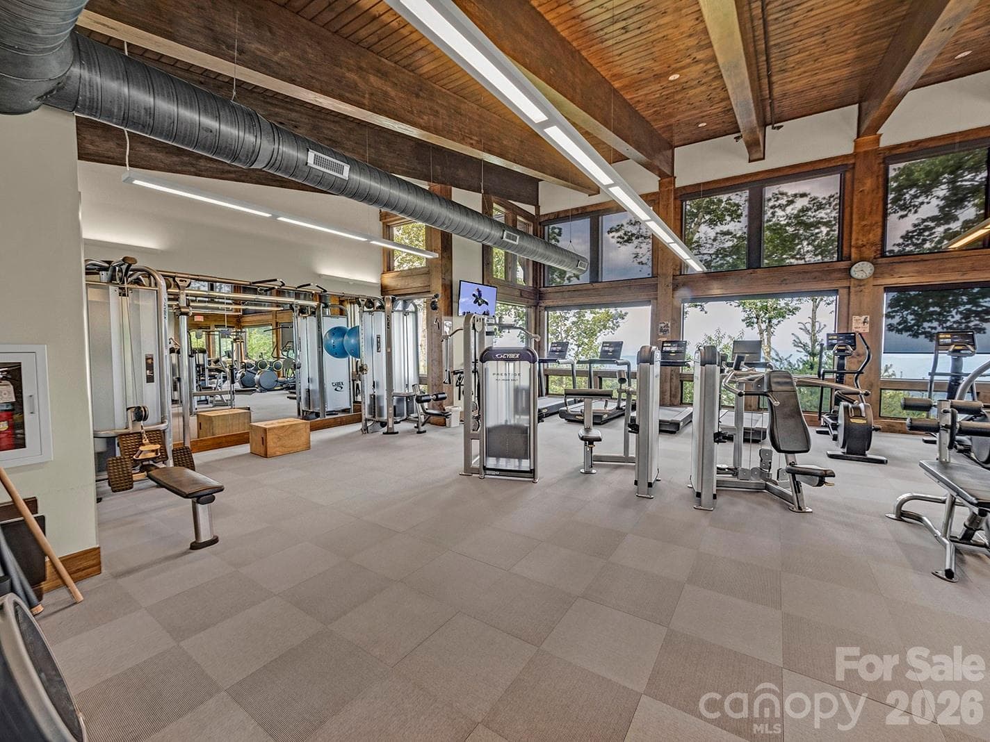 Ascent Wellness Center work out area. Class area not shown - 198 Ramblestone Terrace, Boone