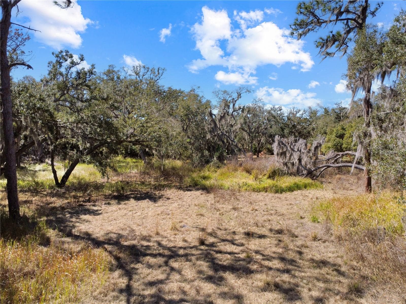 Land at 12111 FRED DR, RIVERVIEW, photo 11 of 27