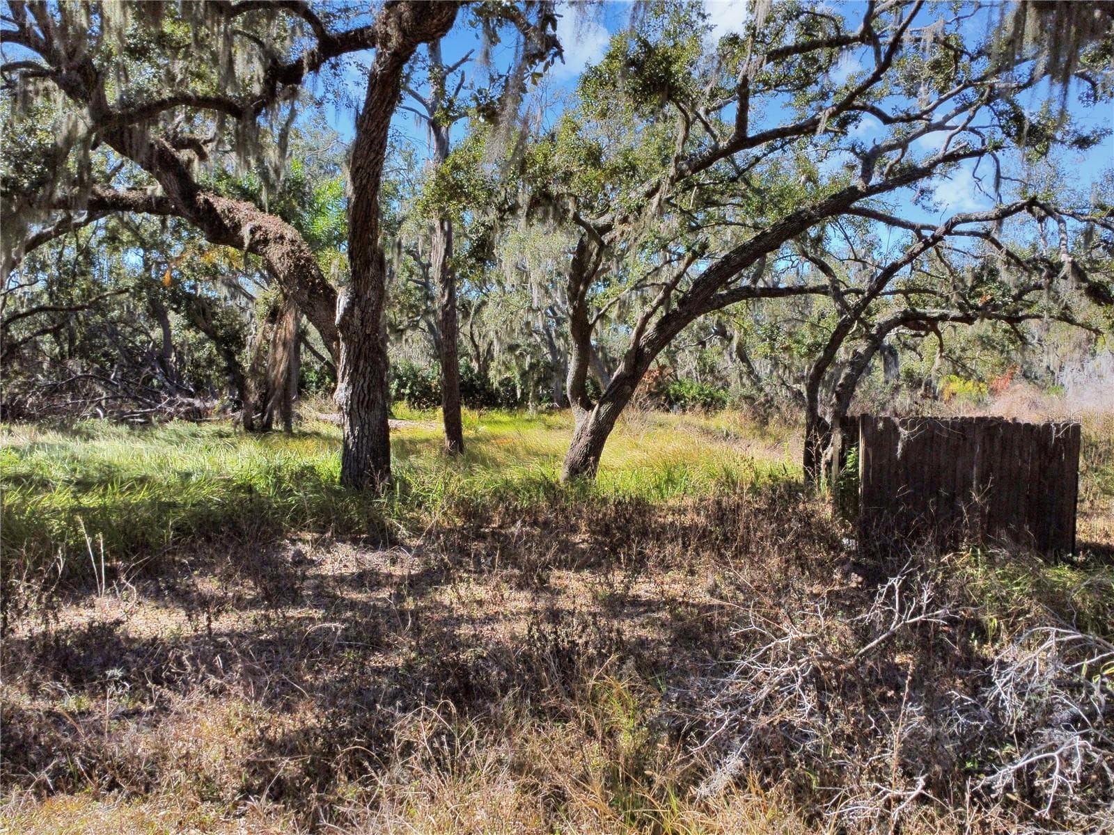 Land at 12111 FRED DR, RIVERVIEW, photo 7 of 27