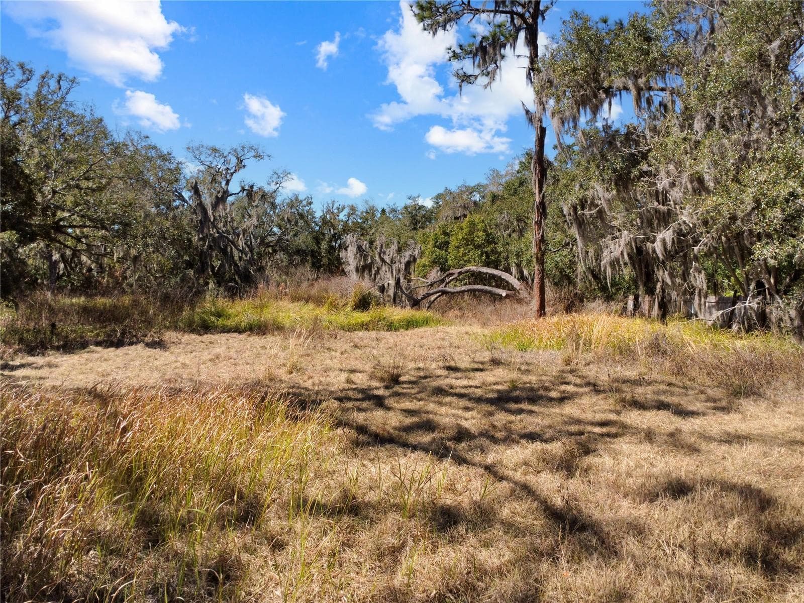 Land at 12111 FRED DR, RIVERVIEW, photo 10 of 27