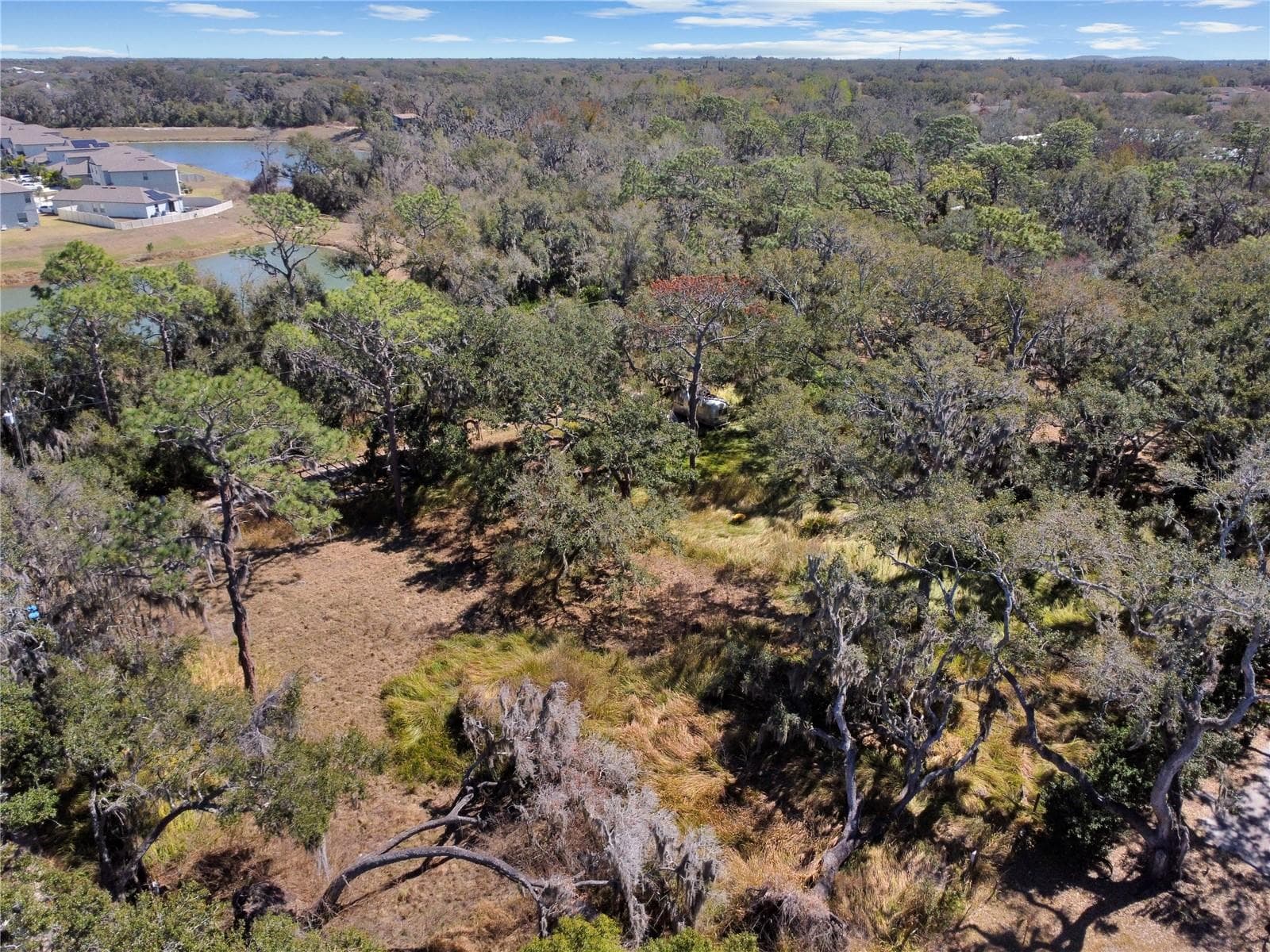 Land at 12111 FRED DR, RIVERVIEW, photo 15 of 27