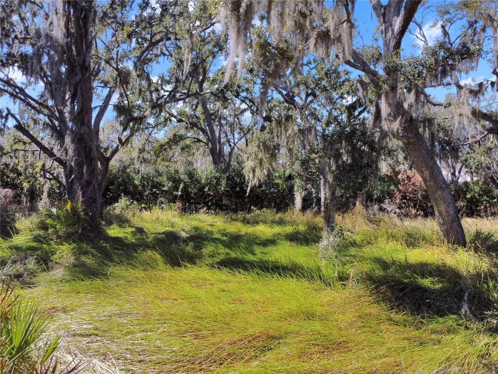 Land at 12111 FRED DR, RIVERVIEW, photo 19 of 27