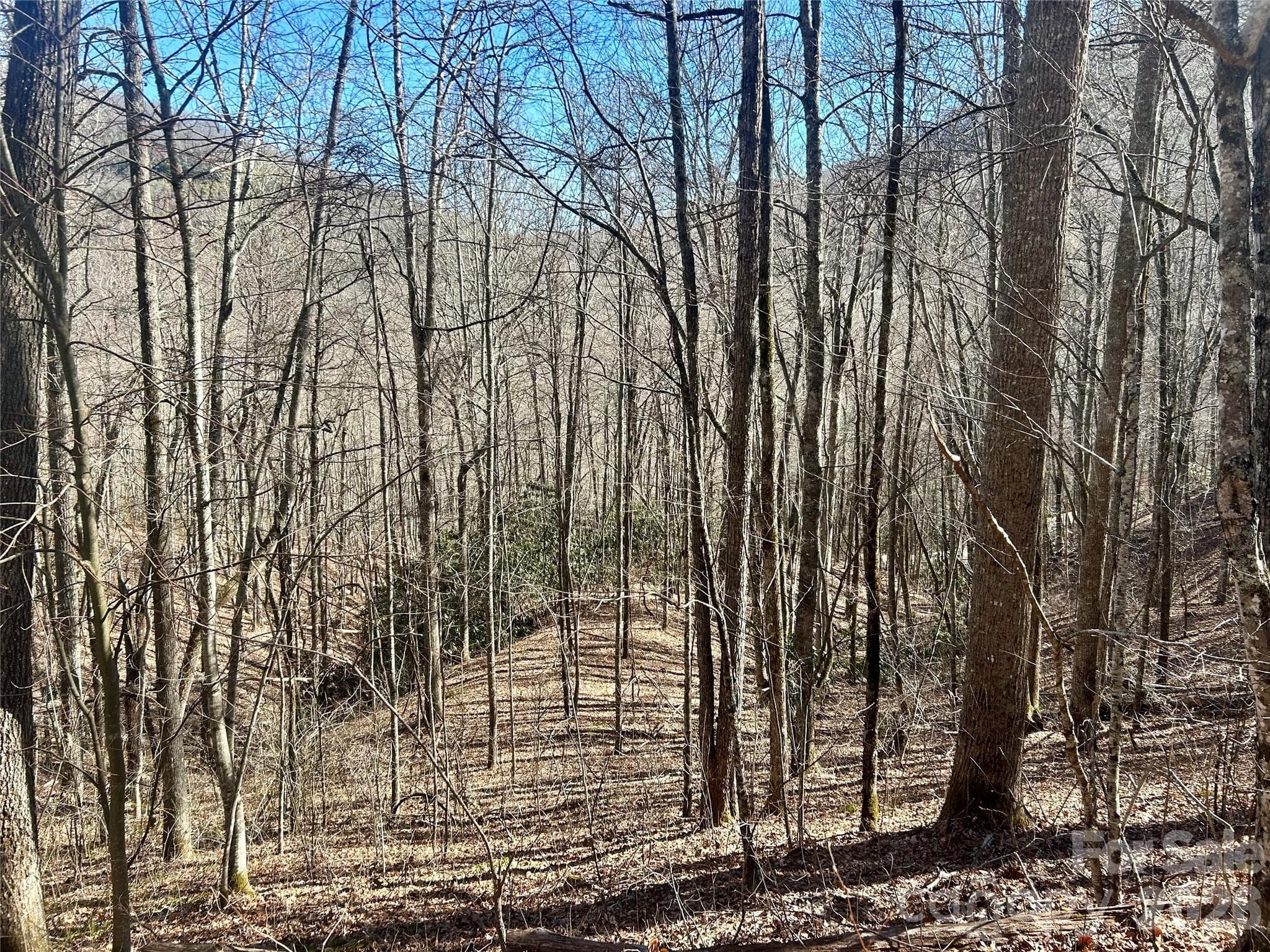 0 Deep Gap View