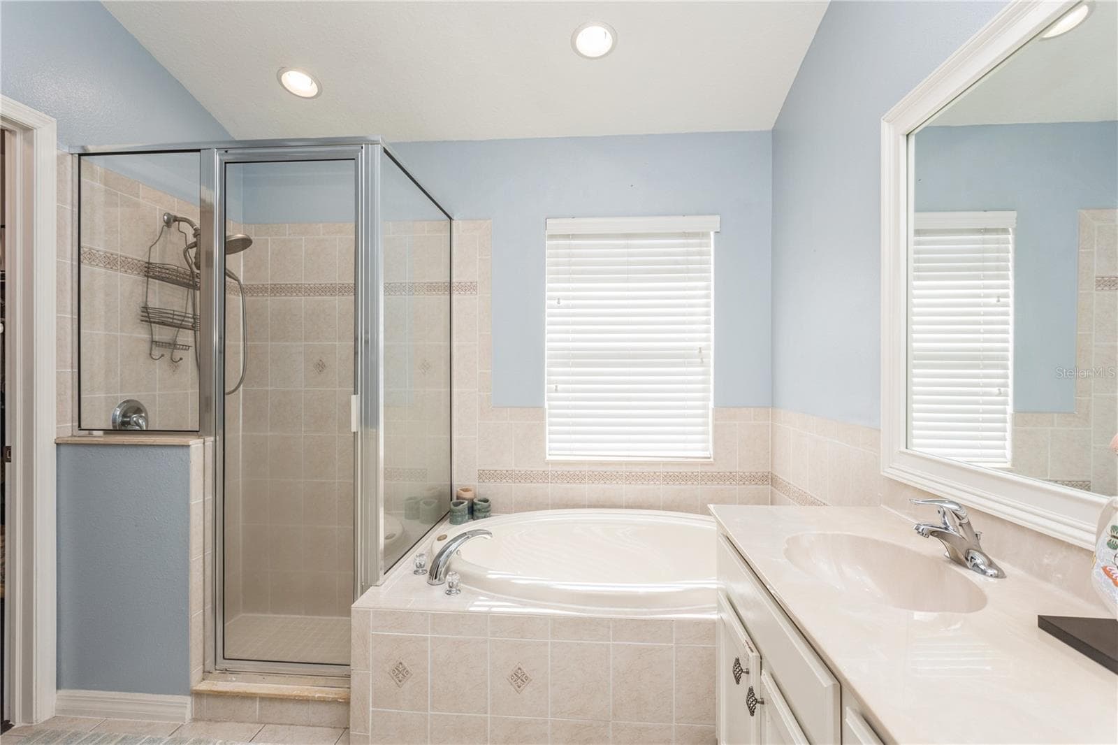Master Bathroom 1 - 1433 EMERALD HILL WAY, VALRICO