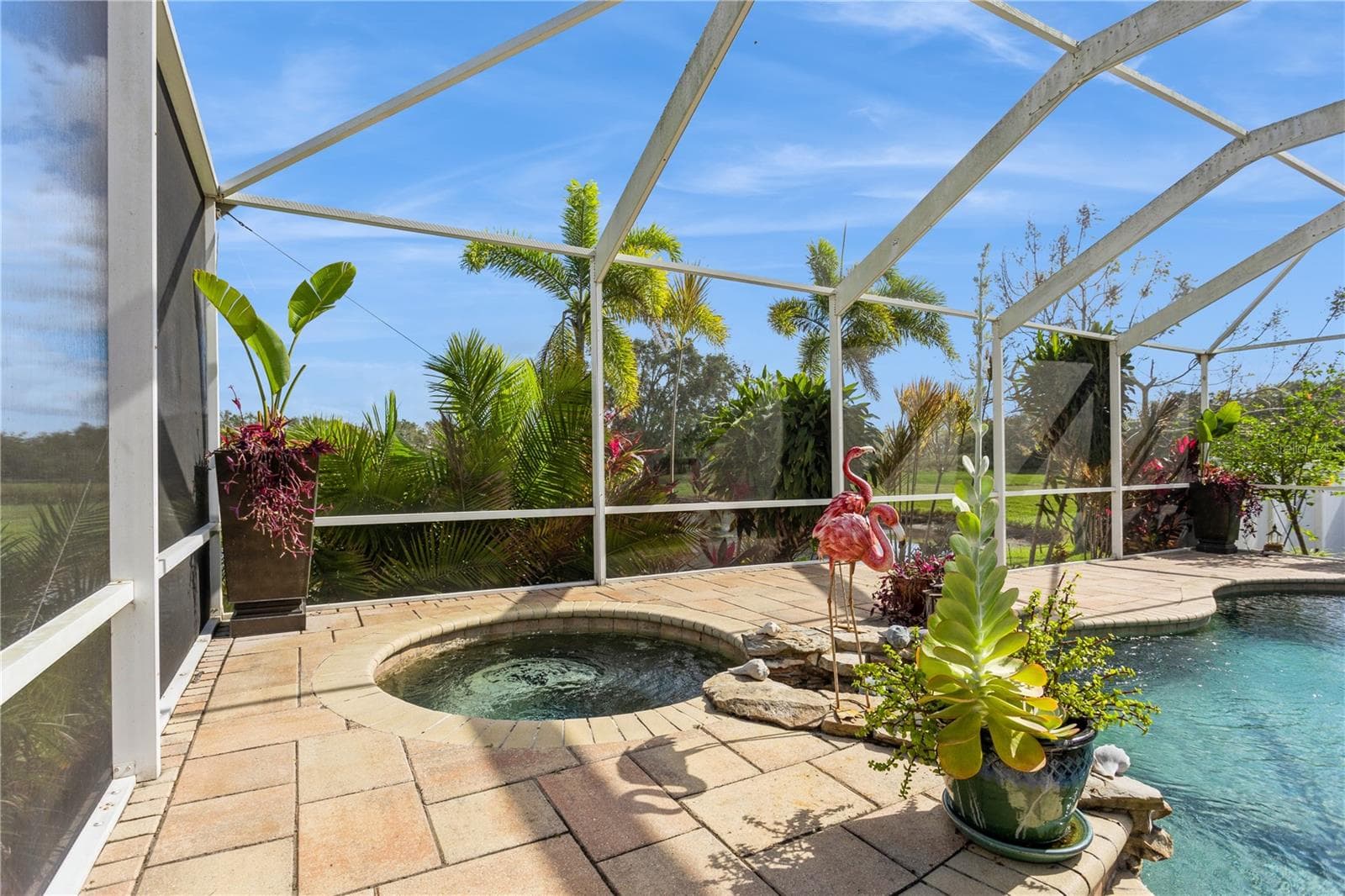 Pool/Spa 3 - 1433 EMERALD HILL WAY, VALRICO