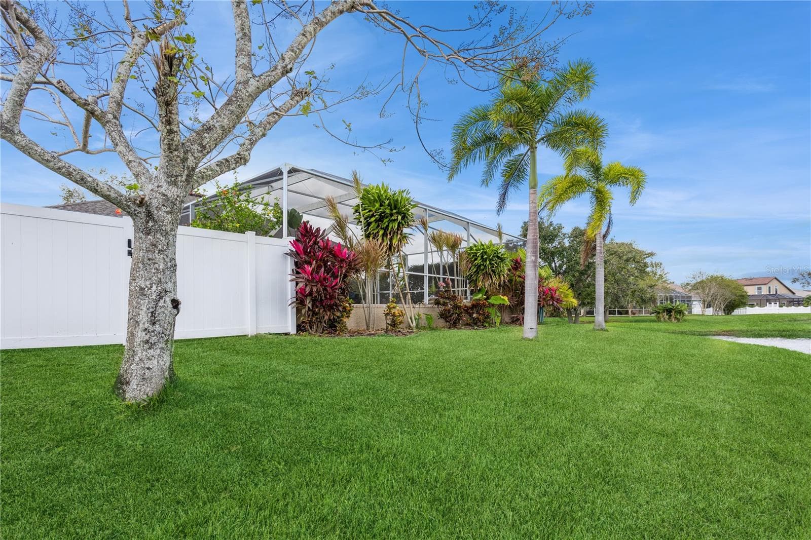 Yard View 1 - 1433 EMERALD HILL WAY, VALRICO