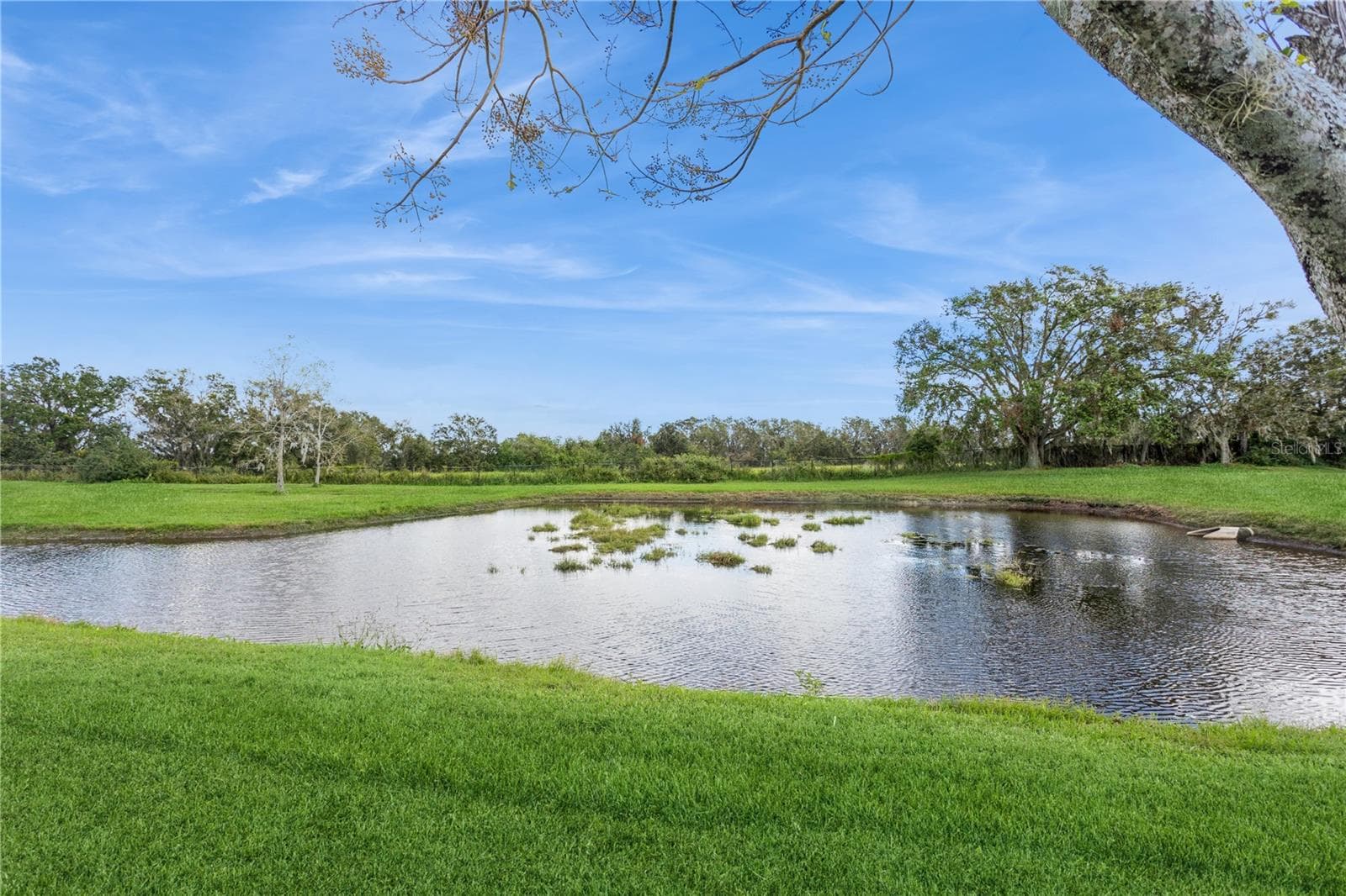 Pond View - 1433 EMERALD HILL WAY, VALRICO
