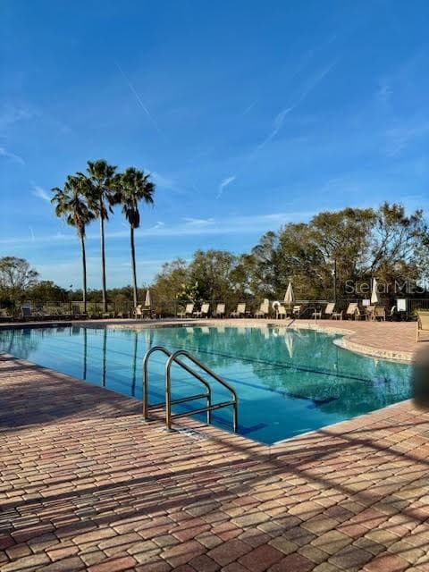 Community Pool - 1433 EMERALD HILL WAY, VALRICO