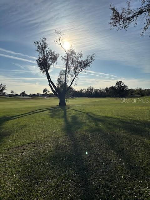 One of Tampa's top golf courses - 1433 EMERALD HILL WAY, VALRICO