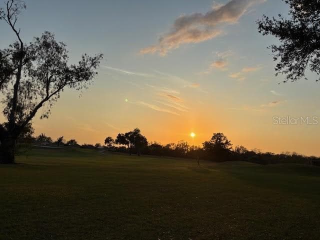 Beautiful Golf course sunset - 1433 EMERALD HILL WAY, VALRICO