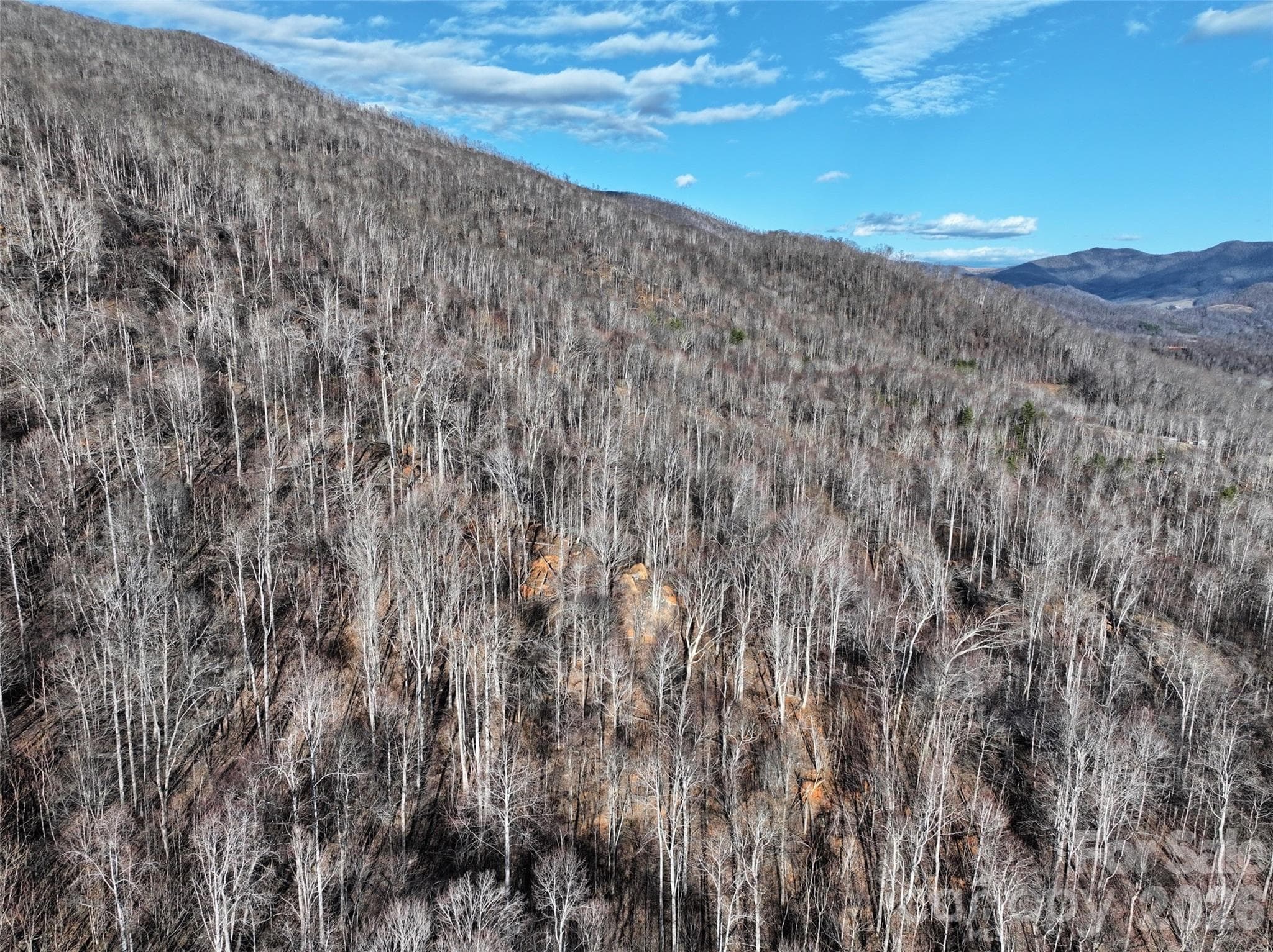 Acreage at 0000 Fork Mountain Road, Bakersville, photo 10 of 45