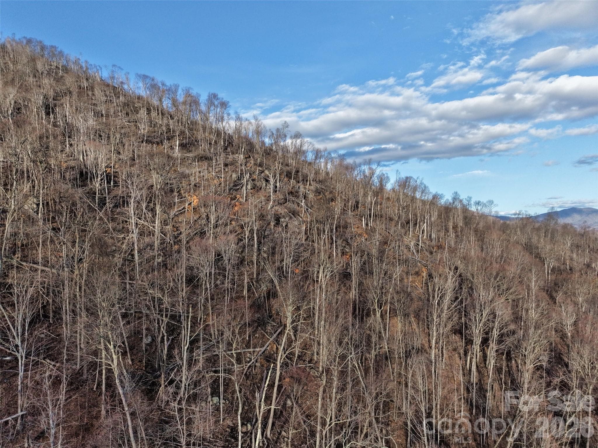 Acreage at 0000 Fork Mountain Road, Bakersville, photo 40 of 45