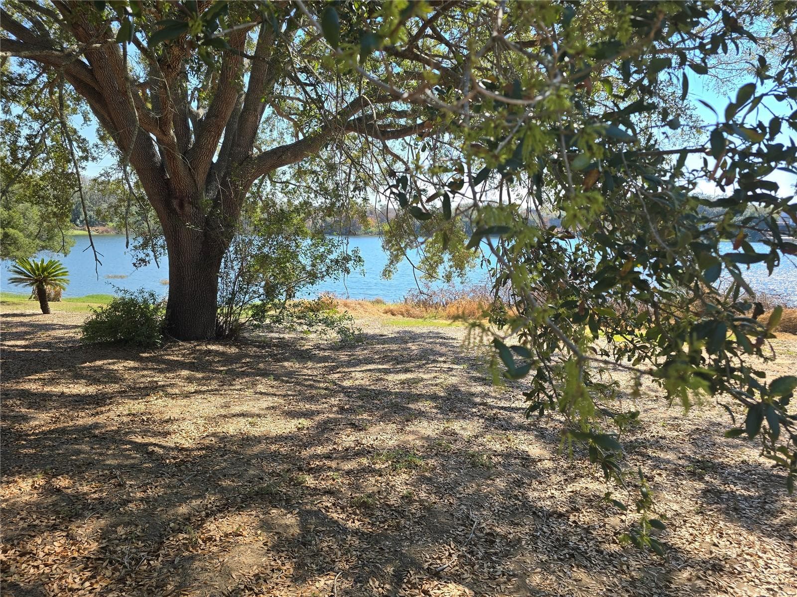 Land at WESTMORELAND AVE, EUSTIS, photo 3 of 17