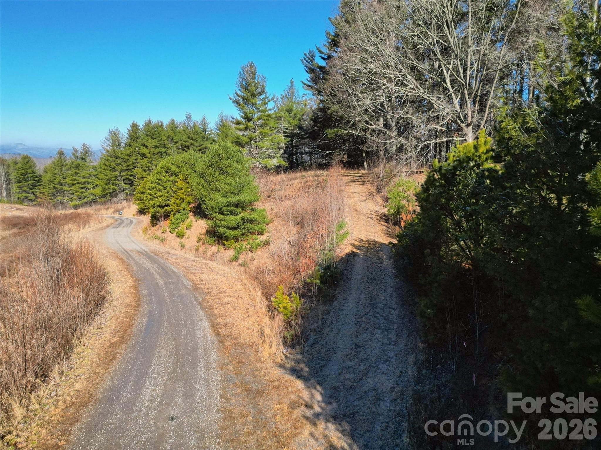 driveway cut in - Clyde