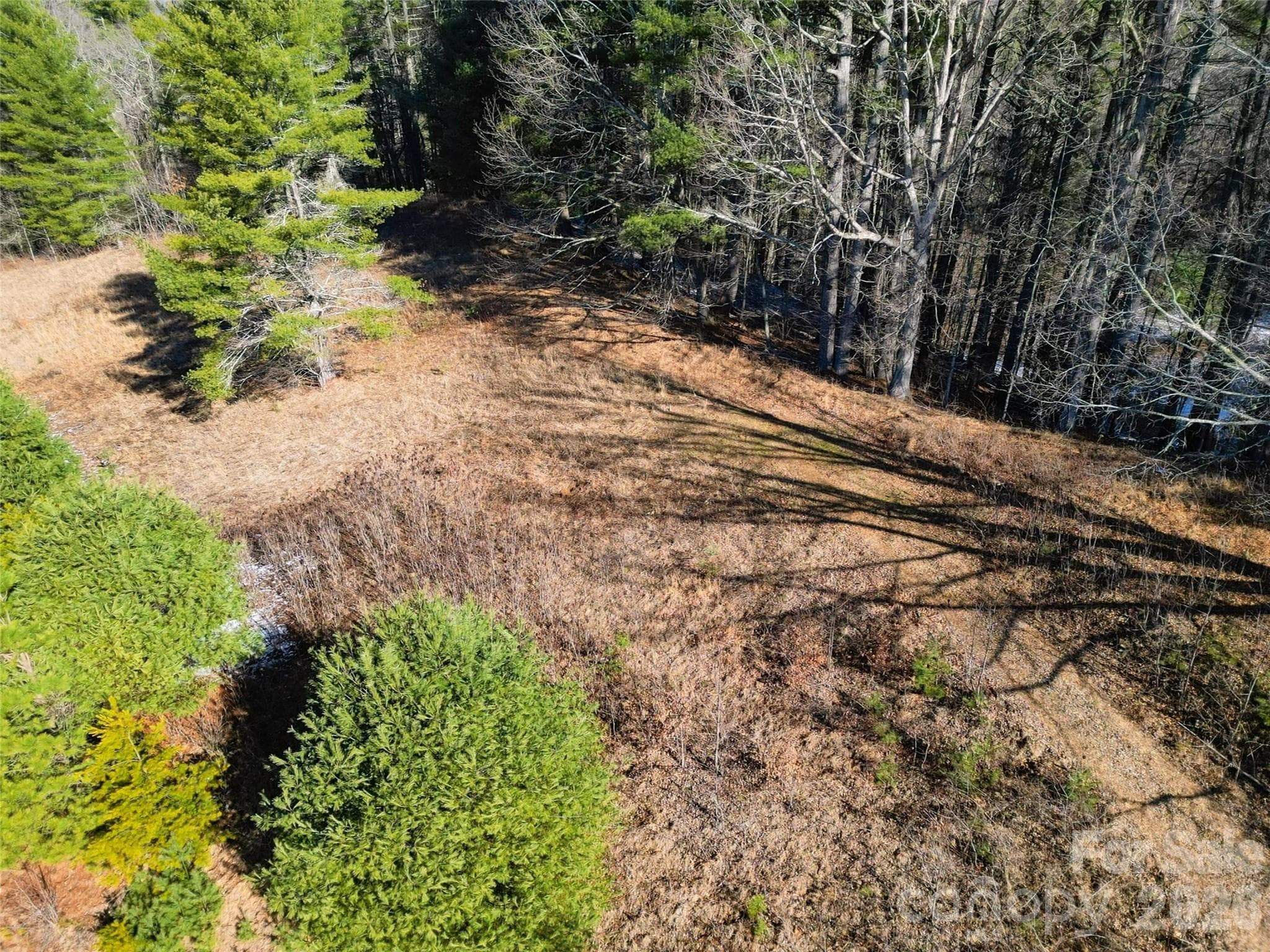 homesite atop the ridge - Clyde