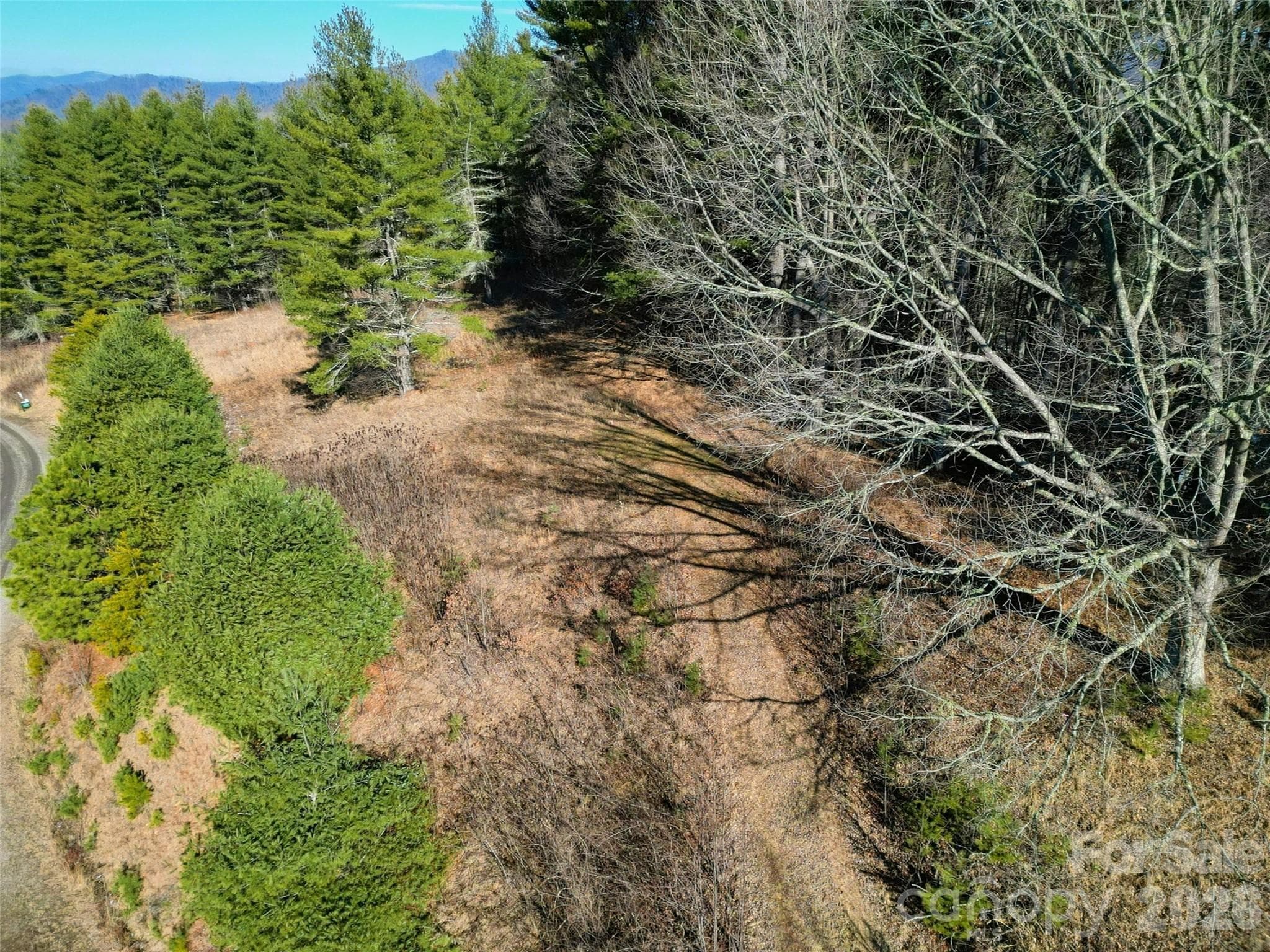 Lot at Clyde, photo 8 of 23