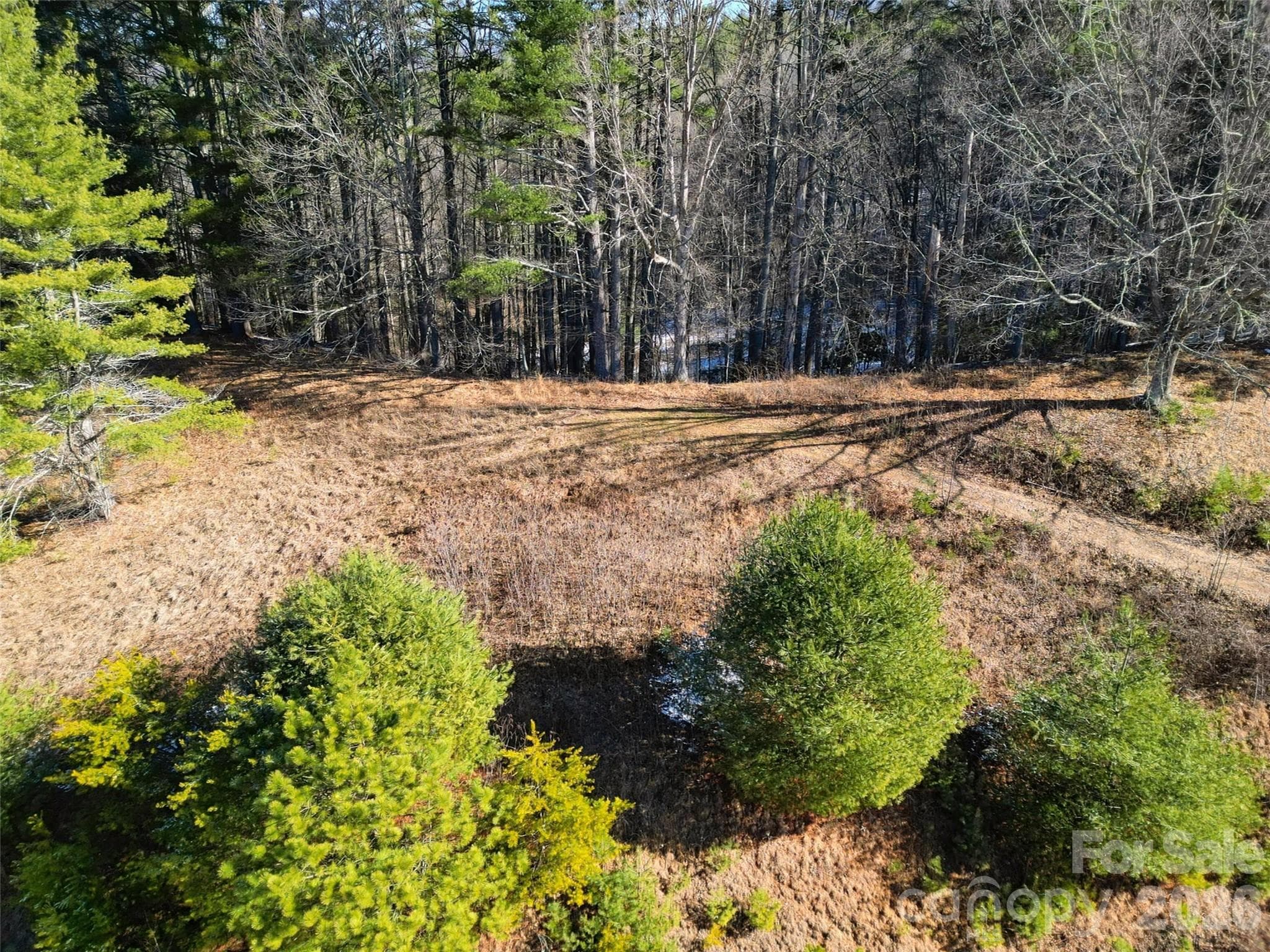Lot at Clyde, photo 9 of 23