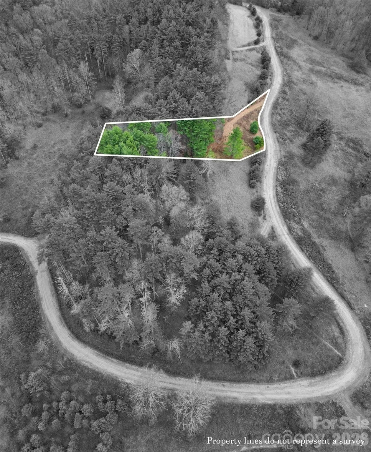 Lot at Clyde, photo 12 of 23