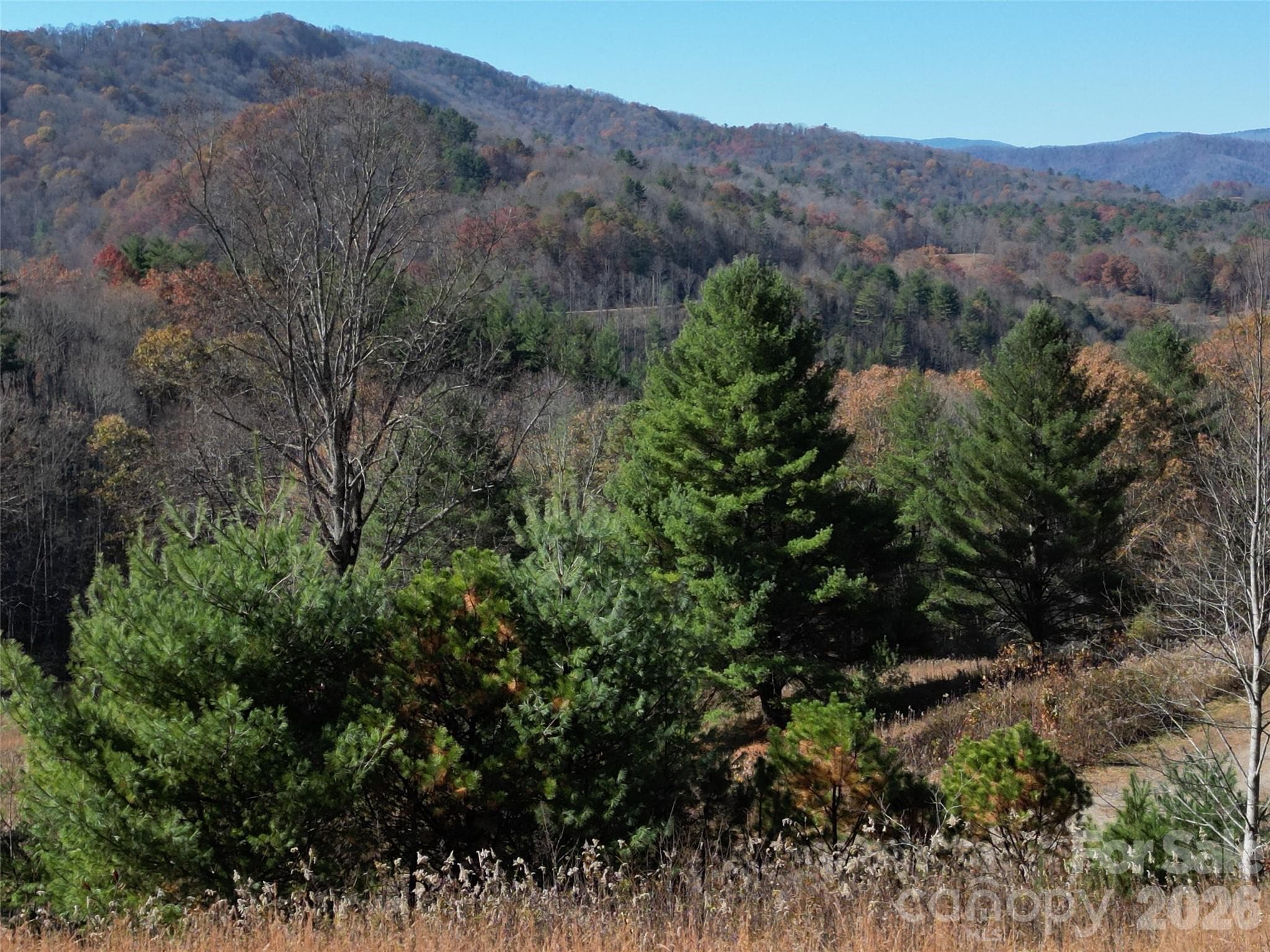 Lot at Clyde, photo 13 of 23