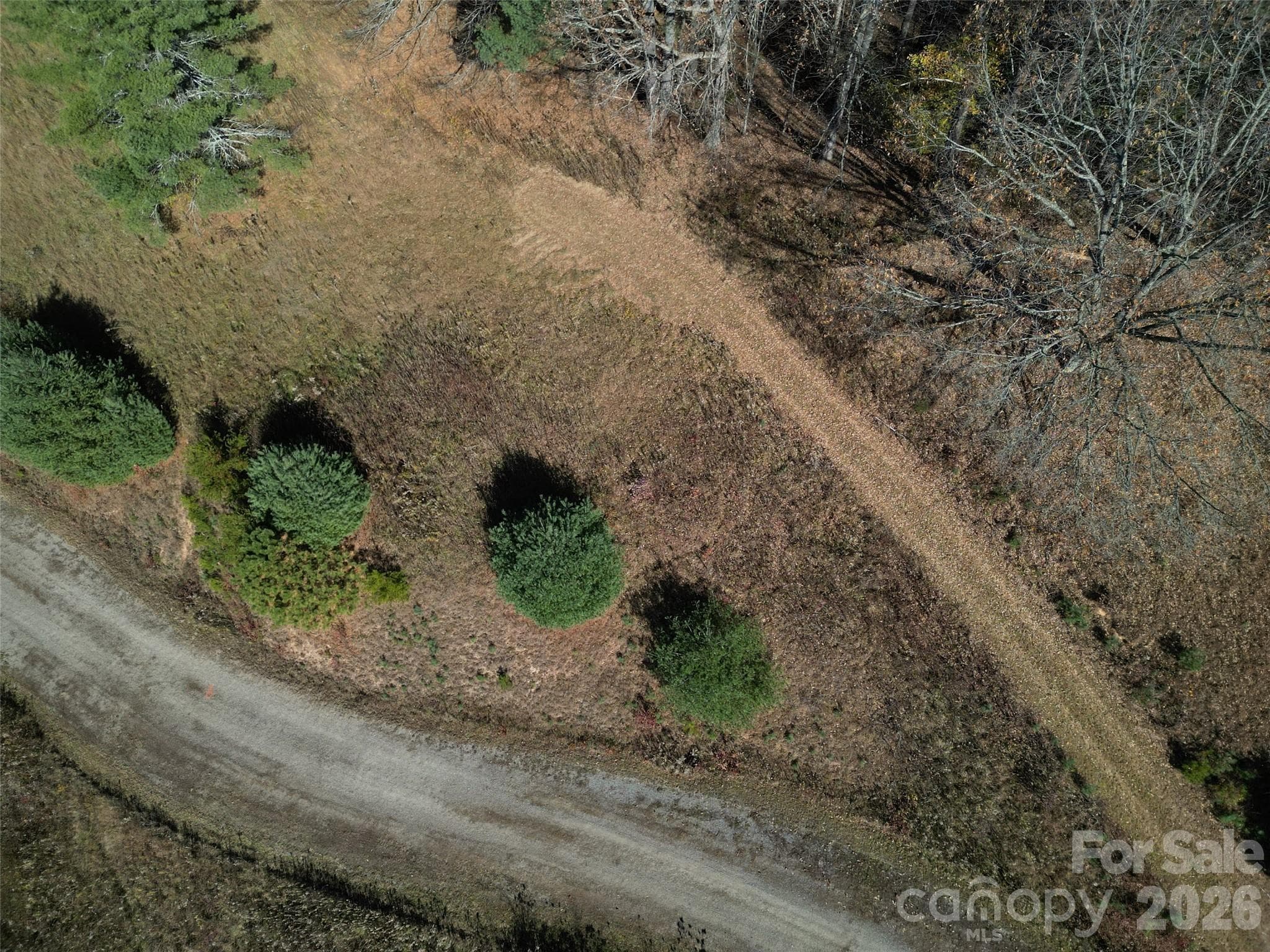 Lot at Clyde, photo 17 of 23