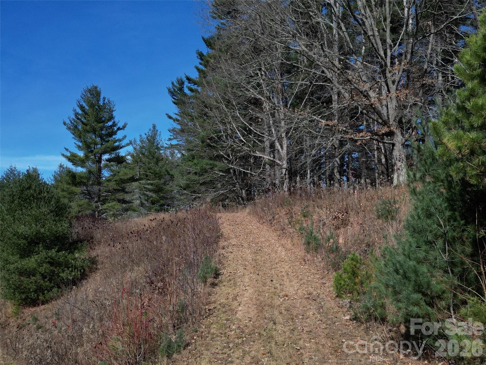 Lot at Clyde, photo 19 of 23