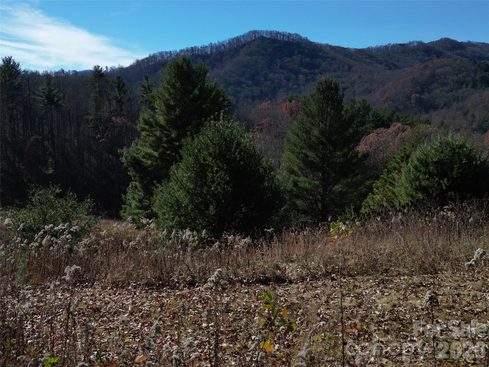 Lot at Clyde, photo 20 of 23
