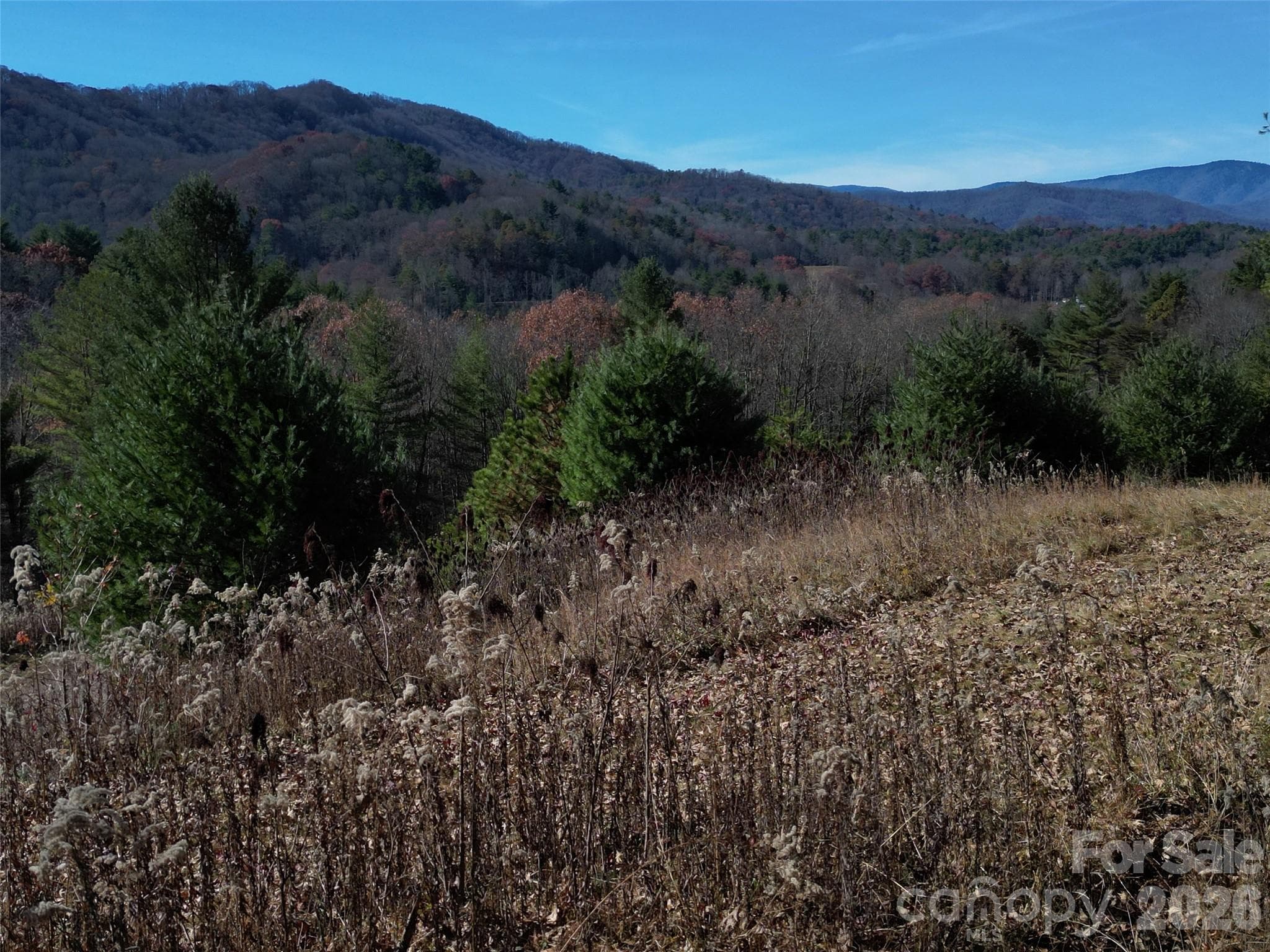 Lot at Clyde, photo 22 of 23