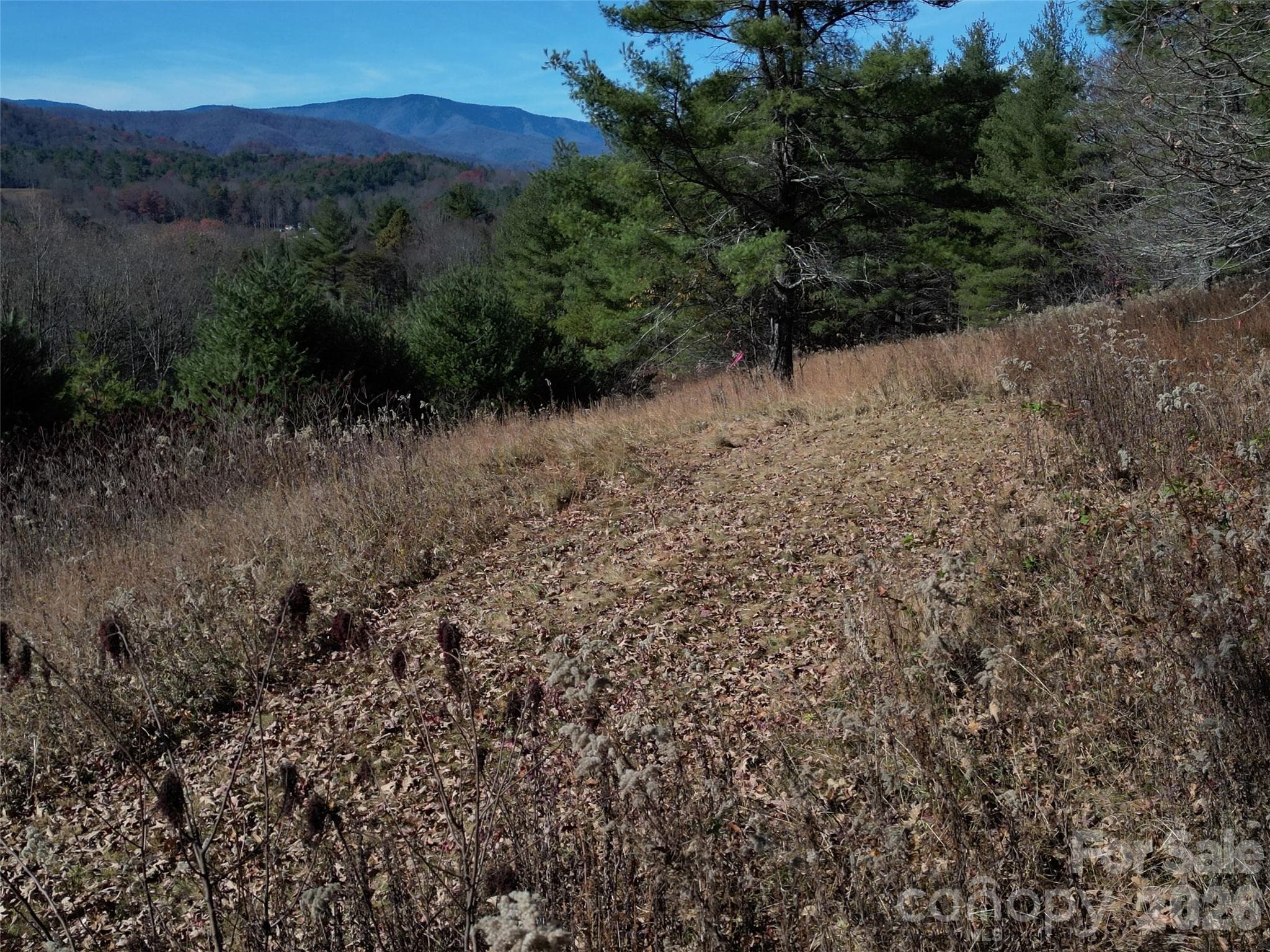Lot at Clyde, photo 23 of 23