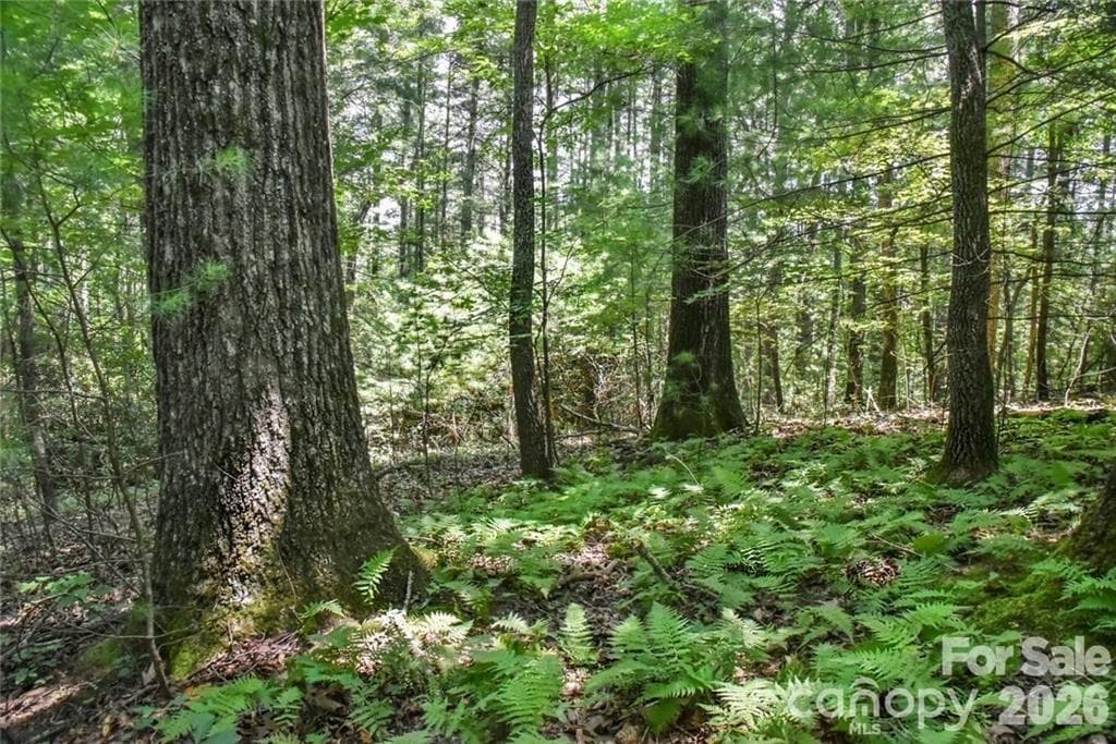 Acreage at 19 Laurel Loop Road, Fairview, photo 3 of 14