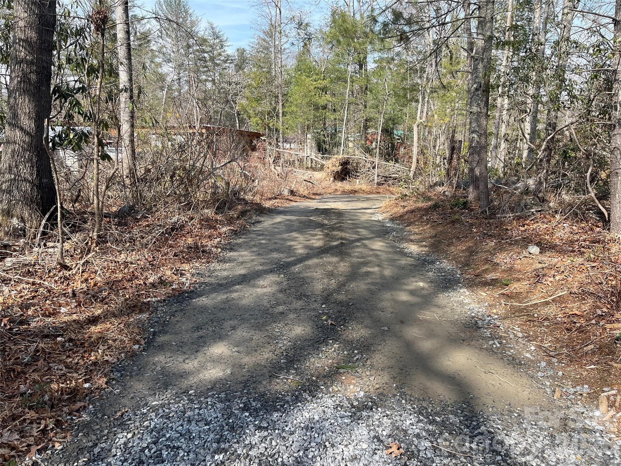 Acreage at 19 Laurel Loop Road, Fairview, photo 6 of 14