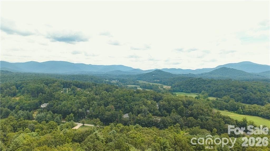 Acreage at 19 Laurel Loop Road, Fairview, photo 11 of 14