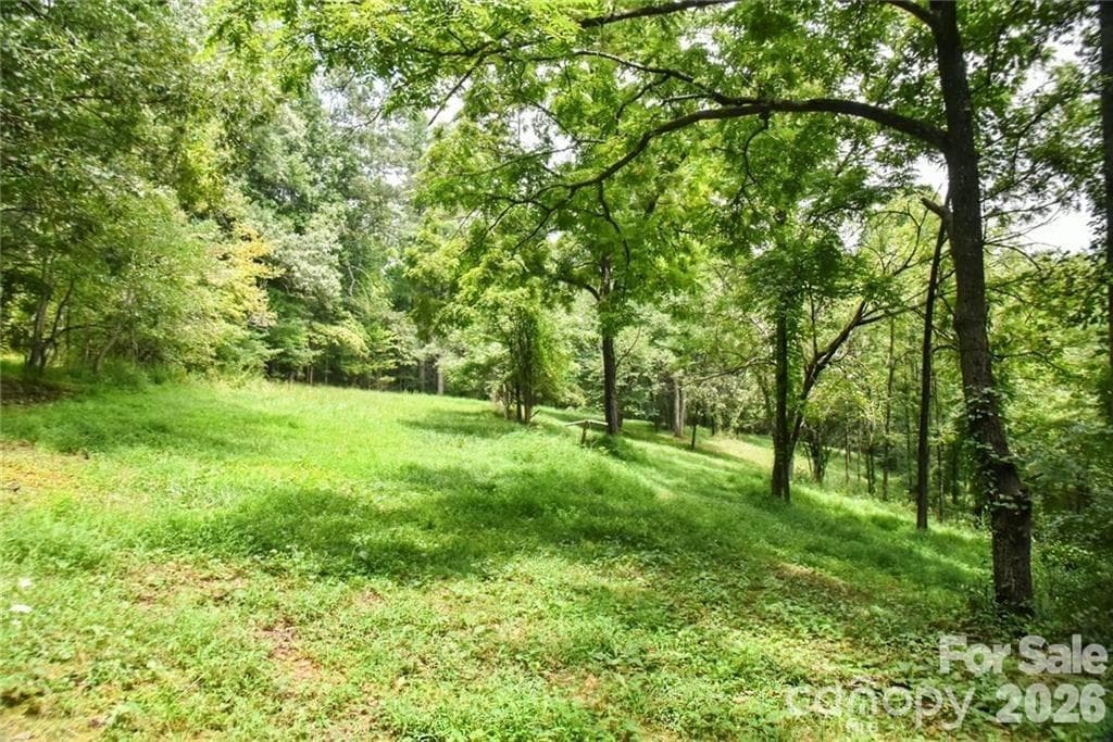 Acreage at 19 Laurel Loop Road, Fairview, photo 12 of 14