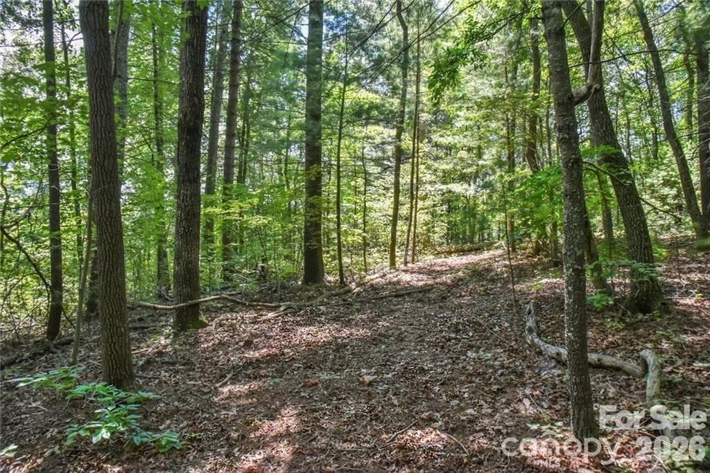 Acreage at 19 Laurel Loop Road, Fairview, photo 13 of 14