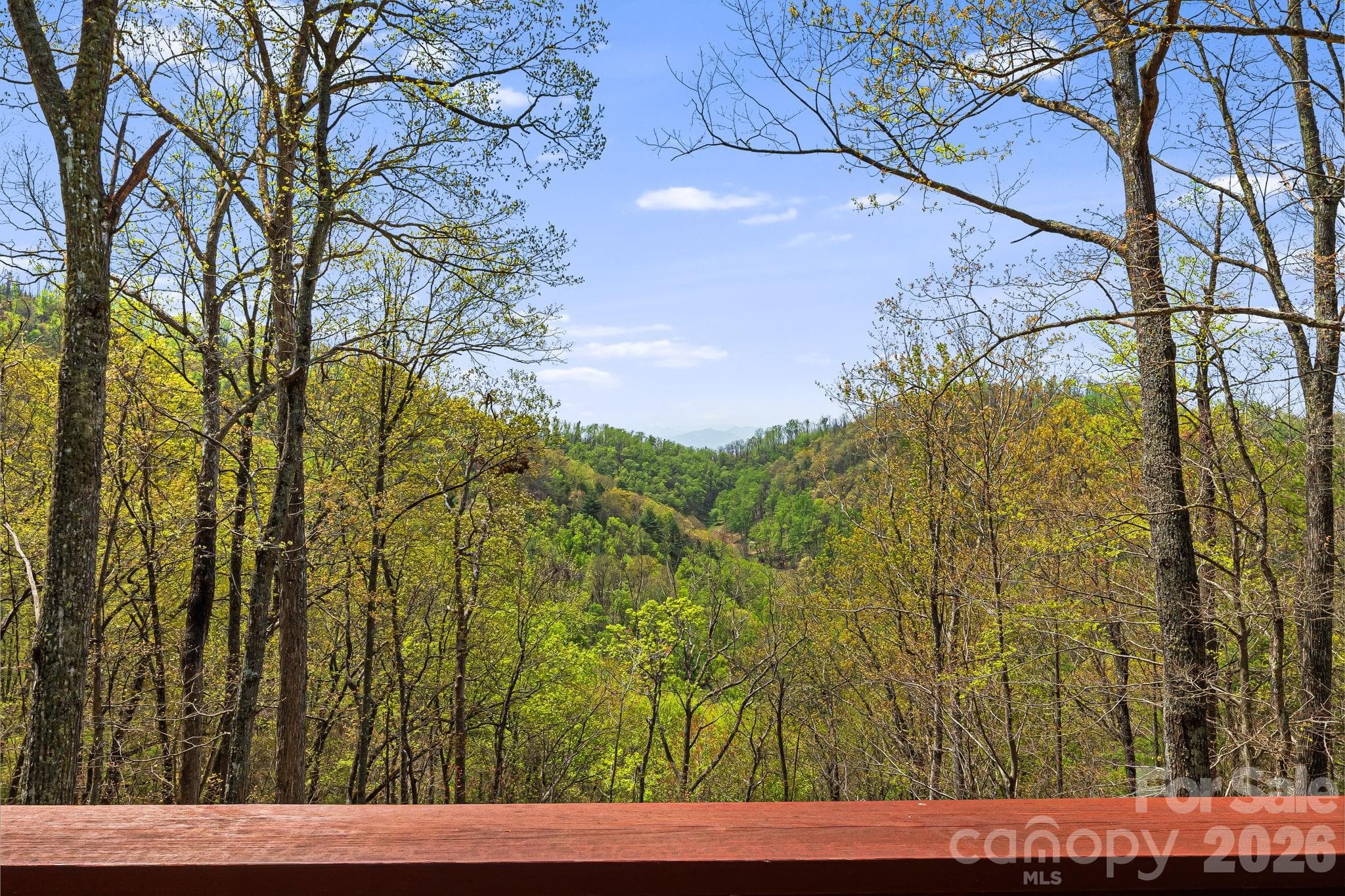Long Range Views to the West - 120 Wilderness Drive, Weaverville