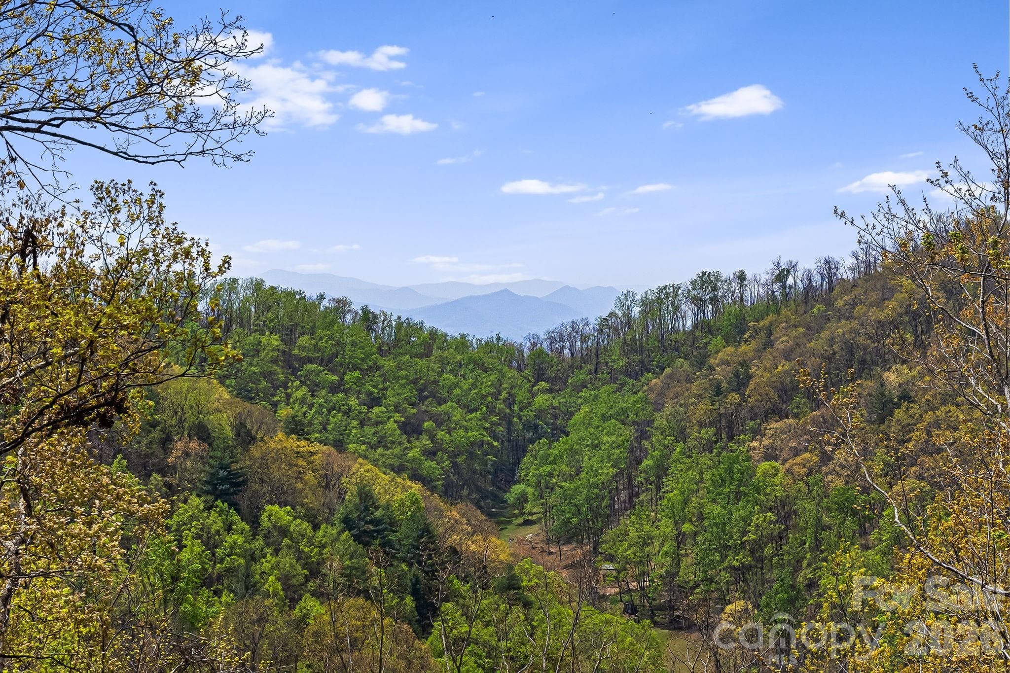Embrace the Wilderness - 120 Wilderness Drive, Weaverville